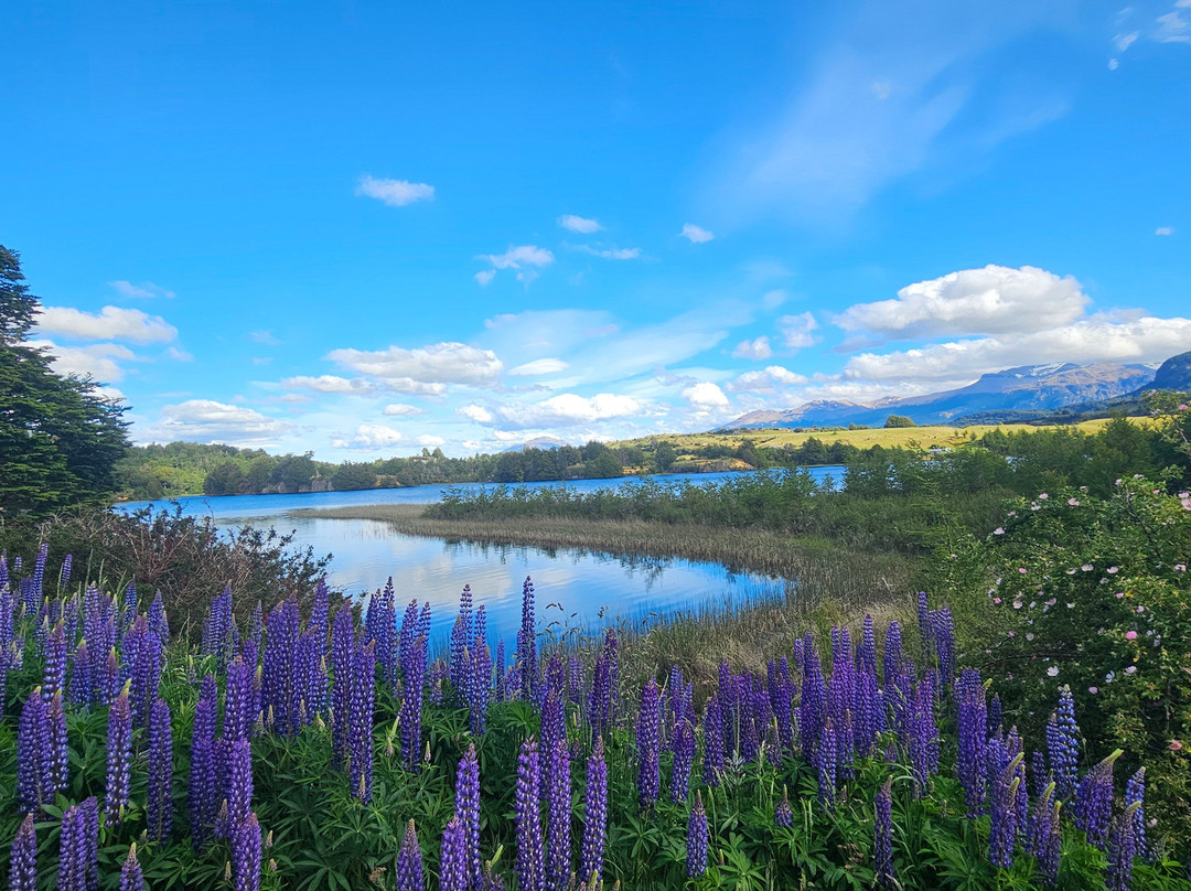 Buen Viaje-Coyhaique必去景点