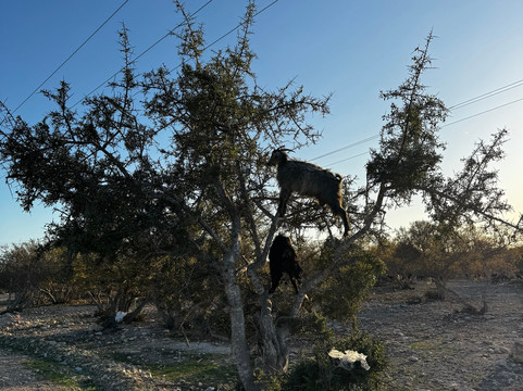 ILYTOUR - Private taxi , Transfers & Excursions-索维拉必去景点