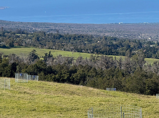 Unique Maui Tours-毛伊岛必去景点