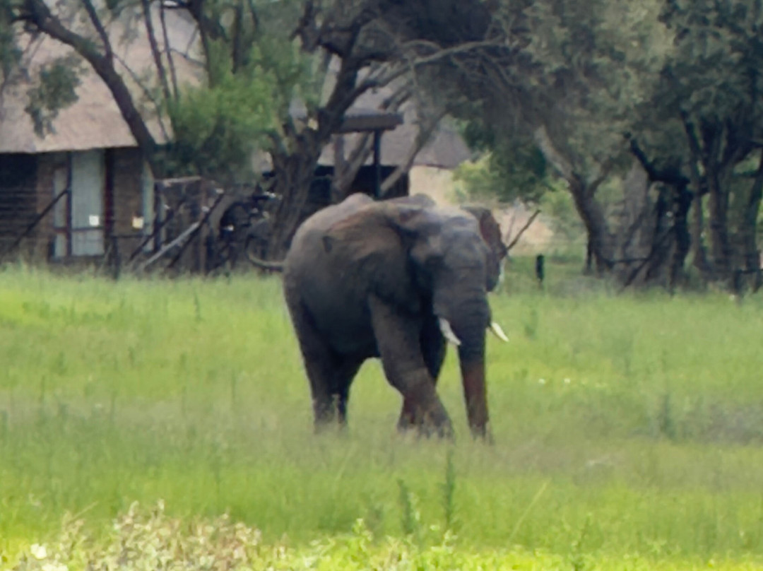Loisico Tours and Excursions-Bloubergstrand必去景点
