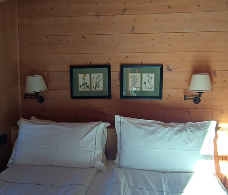 Breithorn Hotel主图