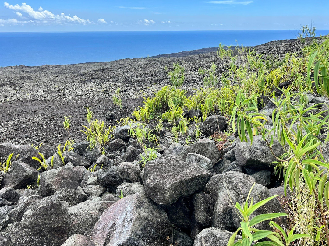 Enclos Du Grand Brûlé-Saint-Philippe必去景点