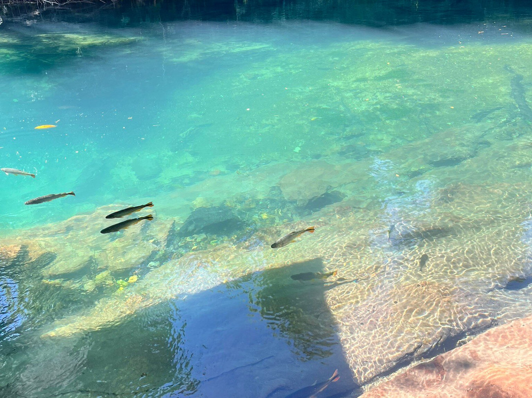 Rio da Prata-南马托格罗索州必去景点