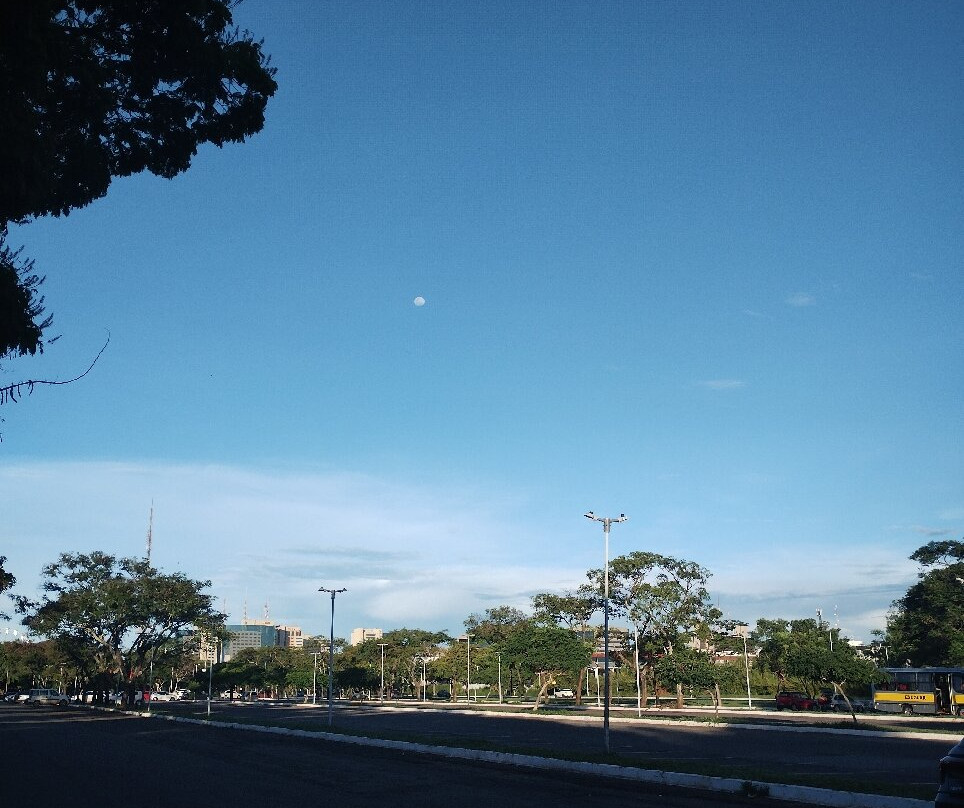 城巿公园-巴西利亚必去景点