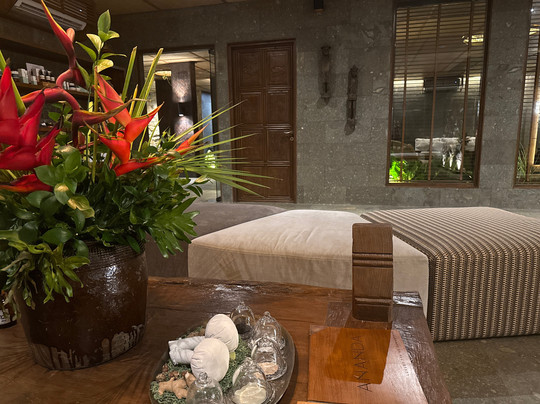 Ananda Spa by Samanvaya-席德门必去景点