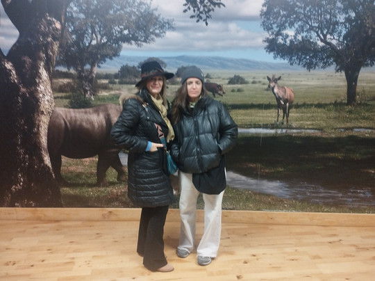 Museo Arqueológico y Paleontológico-阿尔卡拉-德-哈纳雷斯必去景点