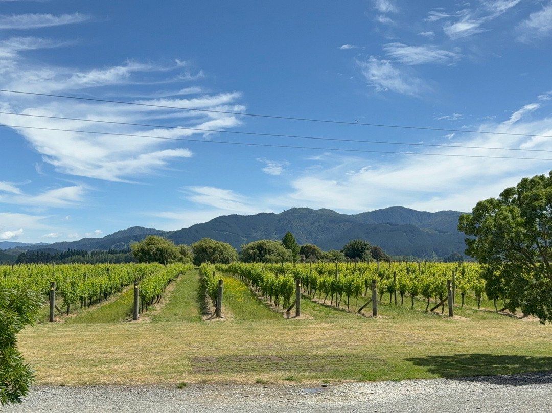 Bladen Wines-伦威克必去景点