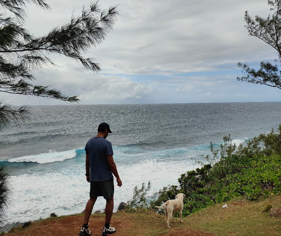 Yanature-黑河必去景点