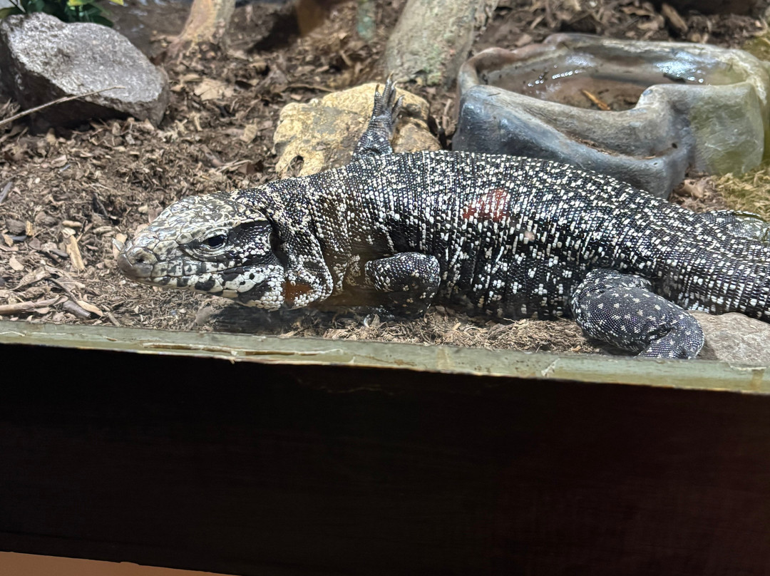 Zoo Parque Loro Puebla-普埃布拉必去景点