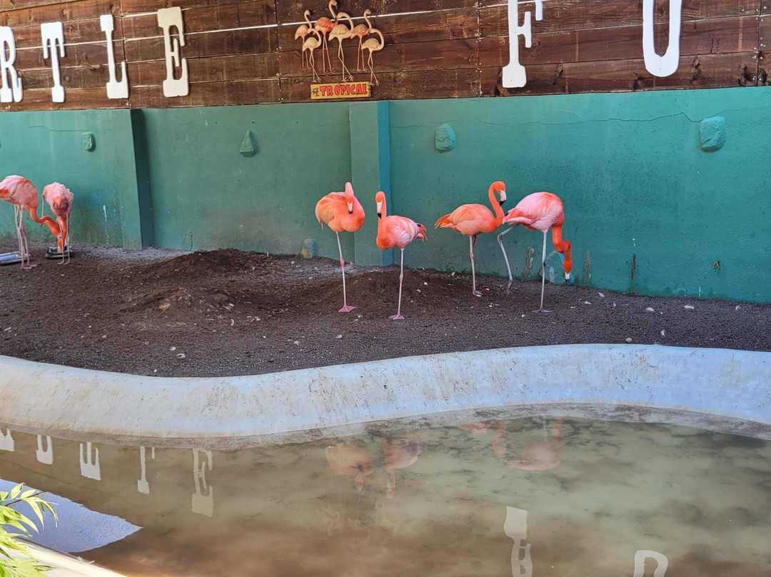 Jardin del Papagayo-Benicarlo必去景点