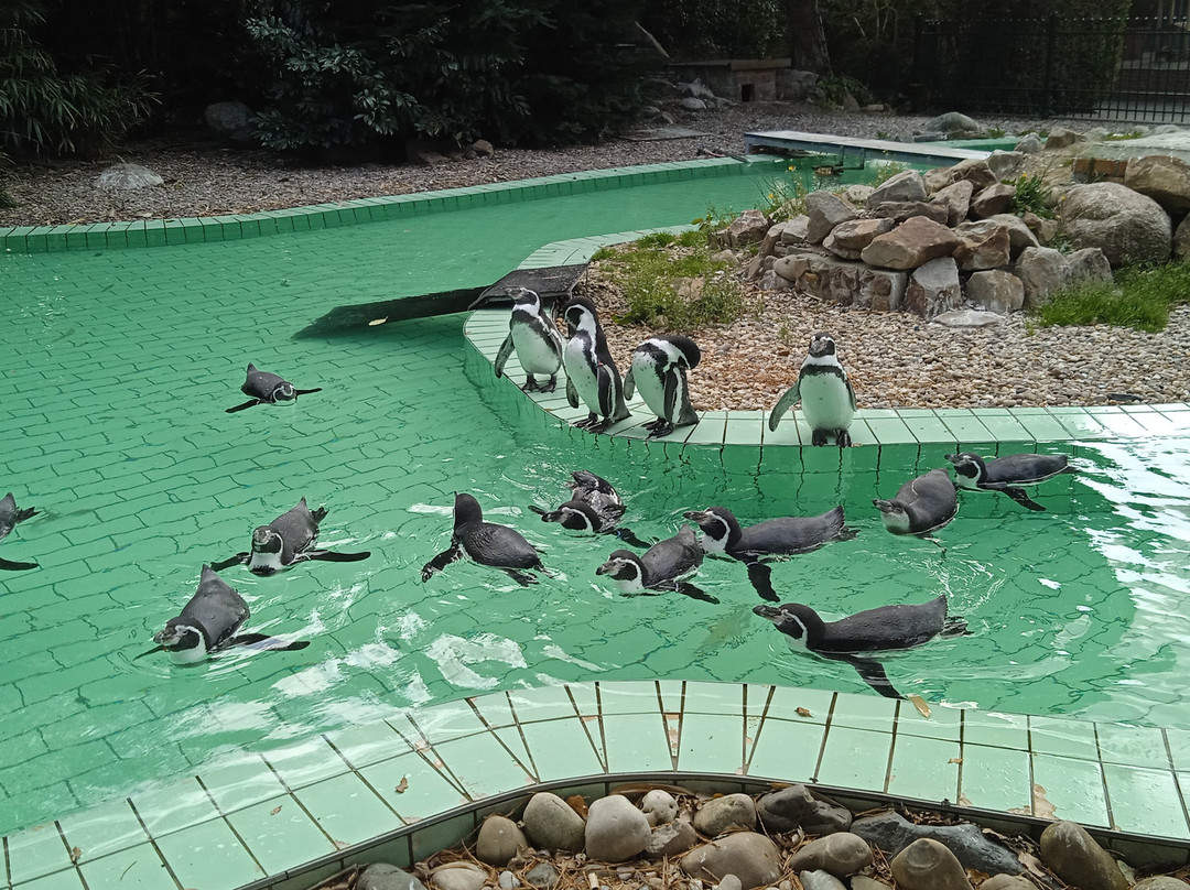 Jaderpark-Jaderberg必去景点