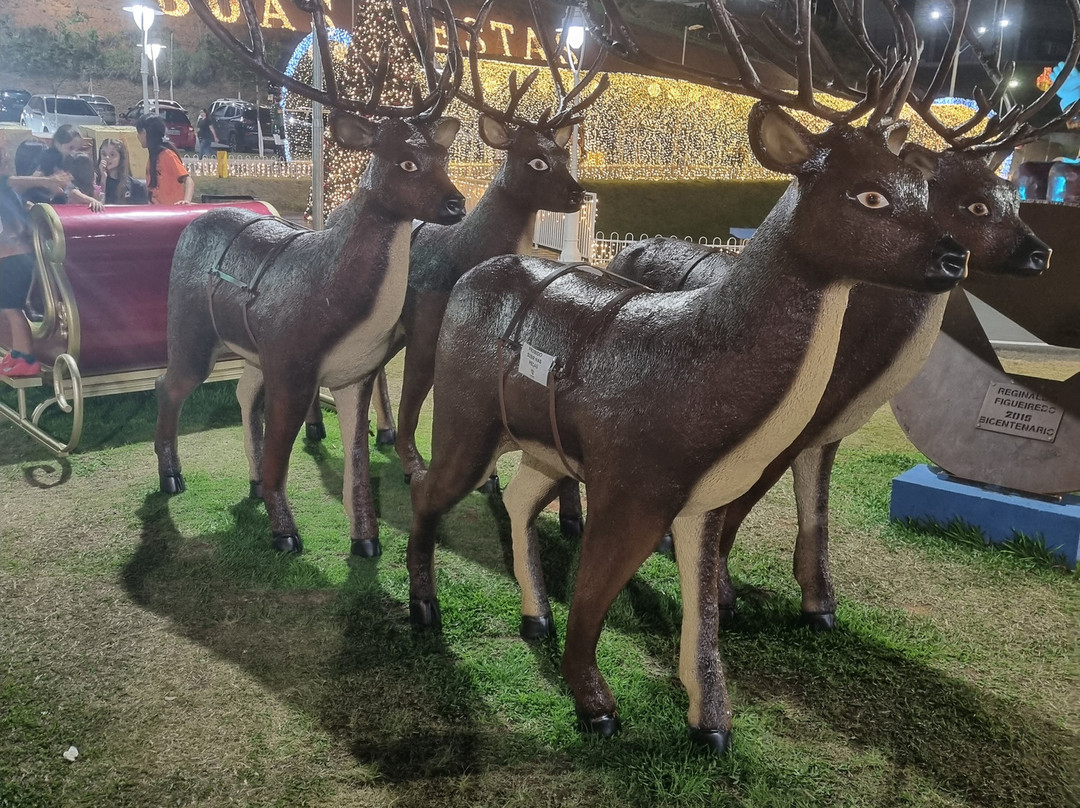 Feira da Associação dos Artesãos de Itajubá-Itajuba必去景点