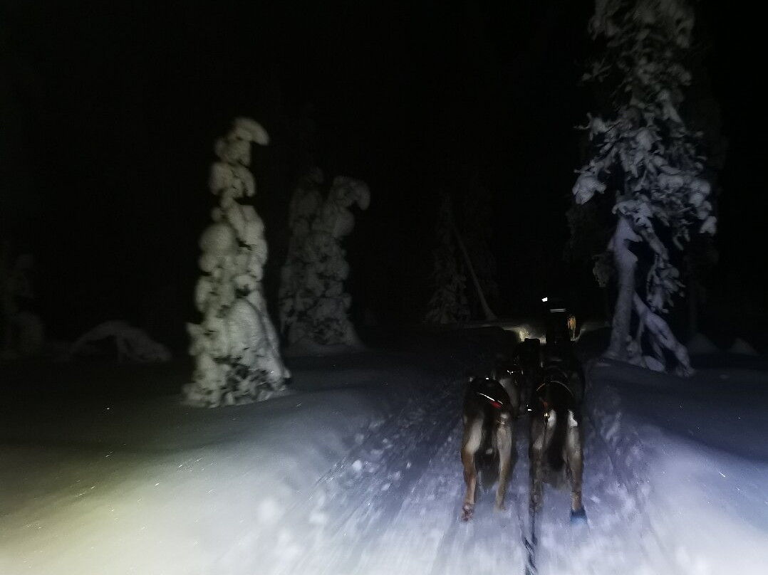 Maglelin Experience-Kittilä必去景点