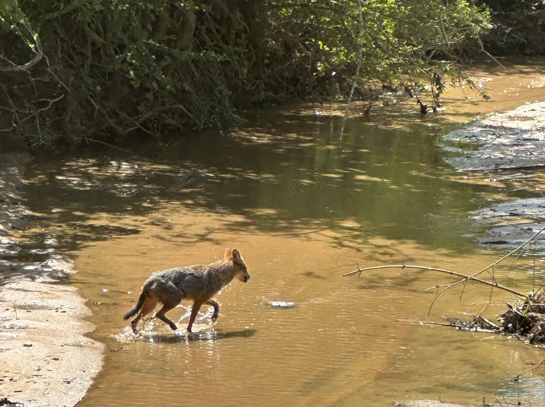 Freedom Safari Jeep Tours-蒂瑟默哈拉默必去景点