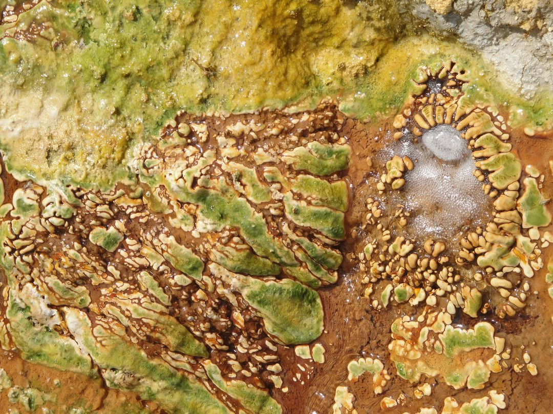 Istisu Spring-Istisu必去景点