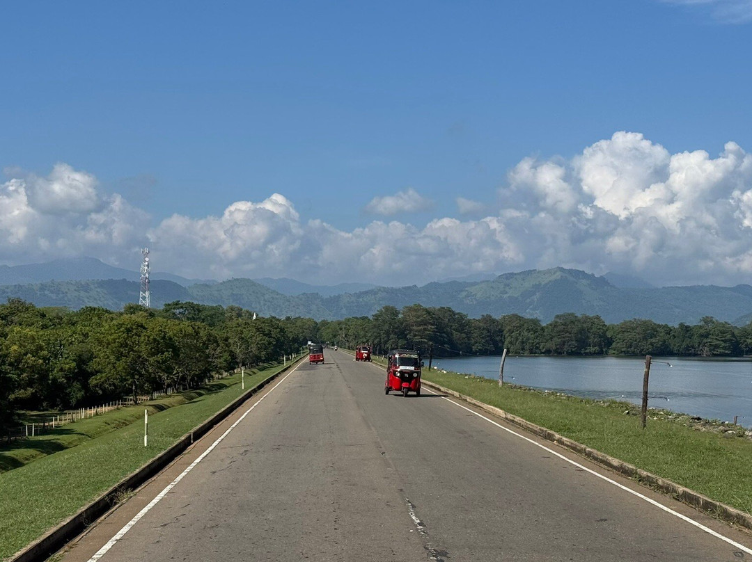 Hash One Ceylon Tours #1-科伦坡必去景点