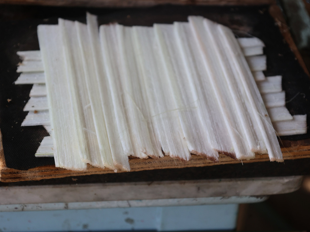 L'Angolo del Papiro-锡拉库扎必去景点