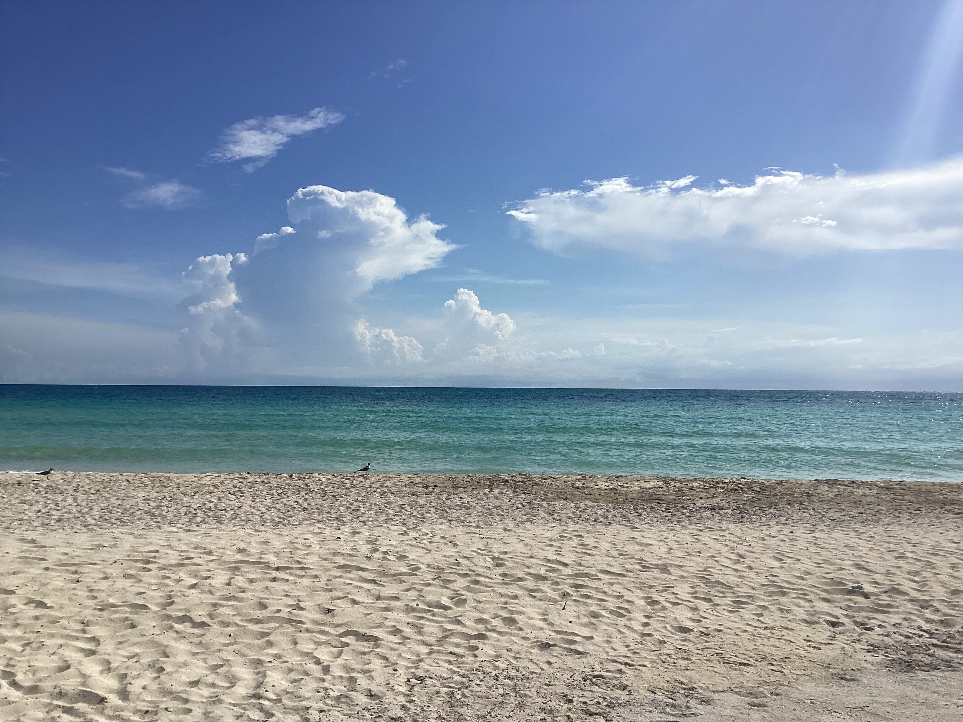 Vila Galé Cayo Paredón-泳池