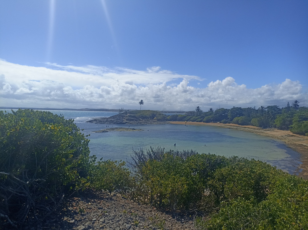 Ilha de Santo Aleixo-Sirinhaem必去景点