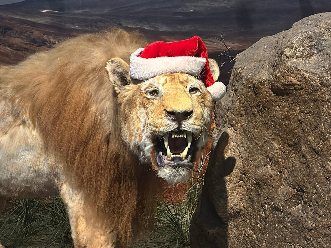 Ice Age Centre-塔尔图必去景点