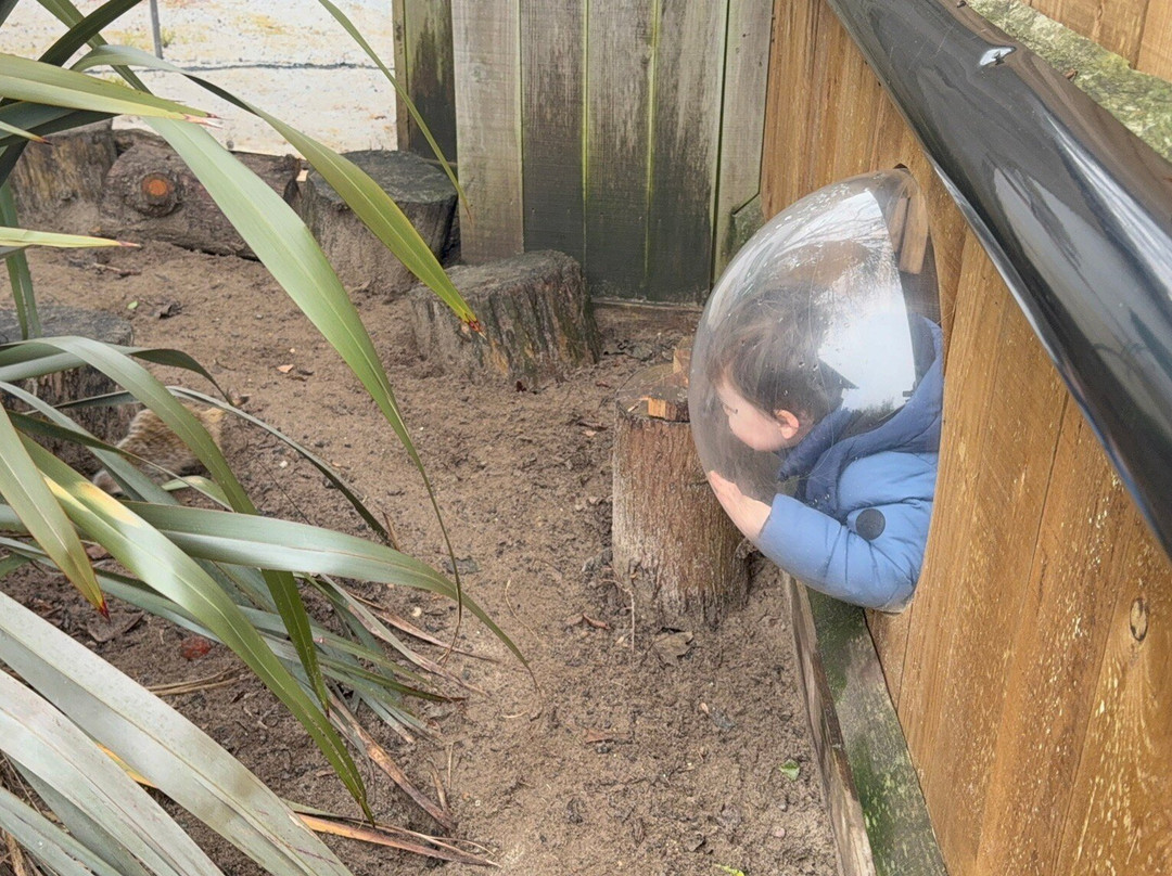 Hemsley Conservation Centre-Fairseat必去景点