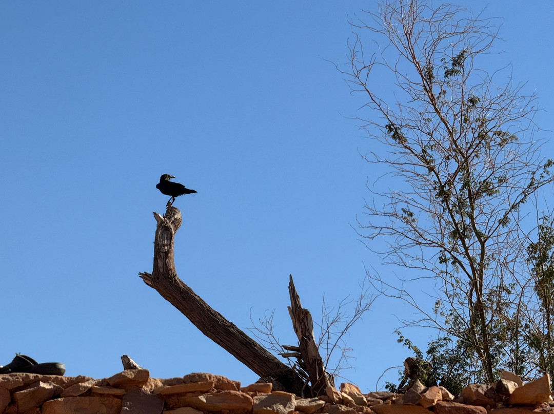 Visit Mauritania Tours-Atar必去景点