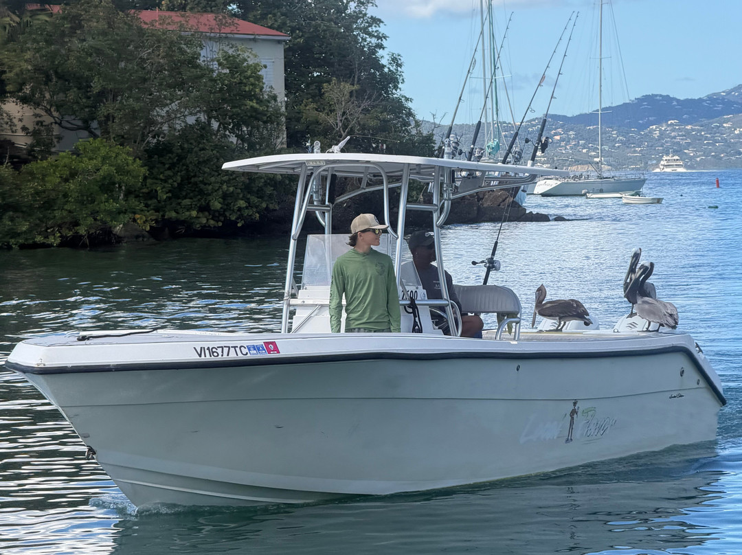 Local Flavor Charters-克鲁兹湾必去景点