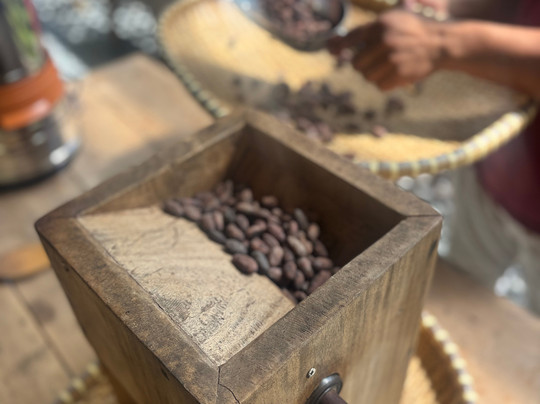 Bohol Chocolate Farm-Sagbayan必去景点