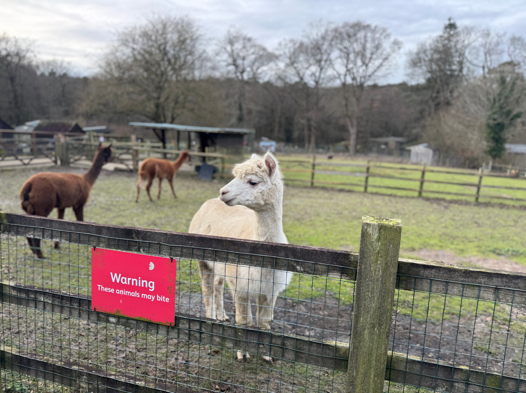 Tilgate Park-克劳利必去景点
