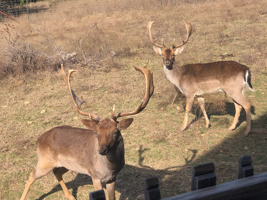 Blue Hills Ranch主图