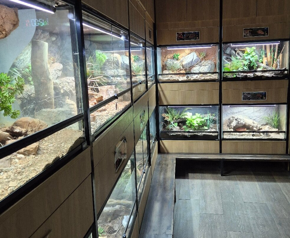 Snakeroom Serpentarium-福恩吉罗拉必去景点