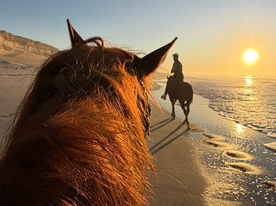 Ranch Des Dunes-达赫拉必去景点