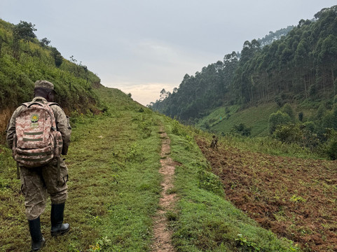 Nsavi Safaris-坎帕拉必去景点