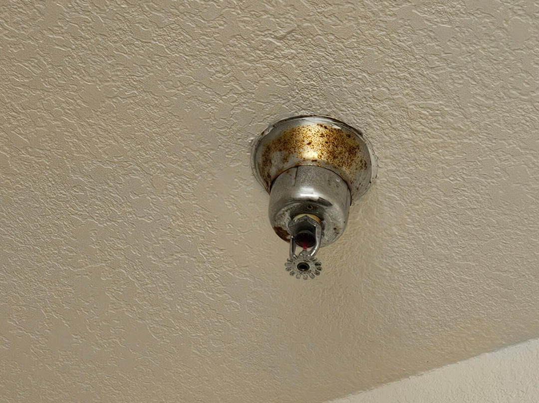 Super 8 by Wyndham Winnemucca NV主图