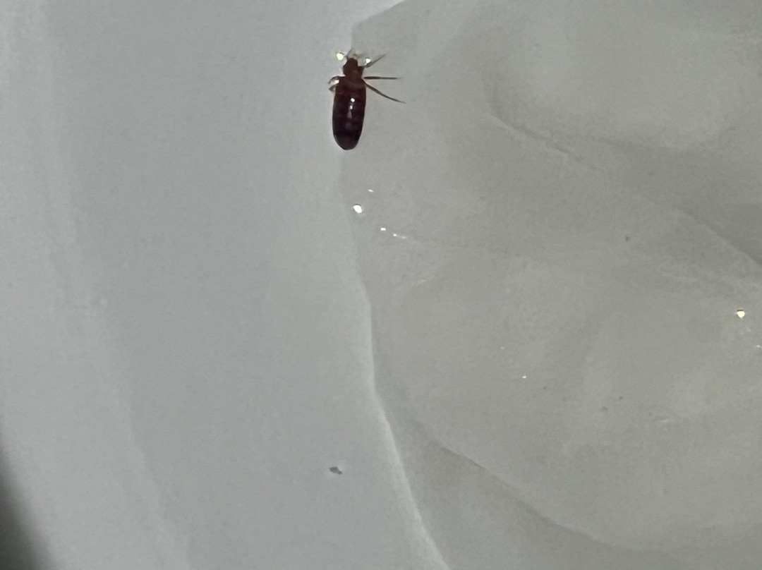 大学康福特茵酒店主图