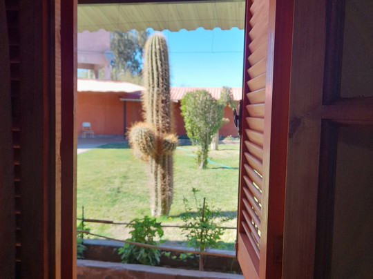 Hotel Don Remo主图