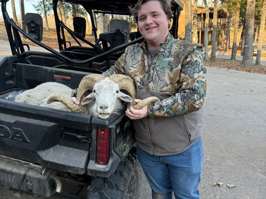 Cedar Cove Ranch主图