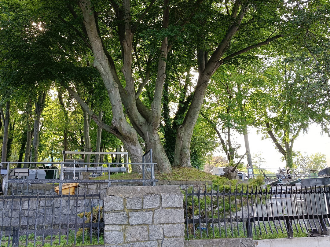 Polish Naval Museum-格丁尼亚必去景点