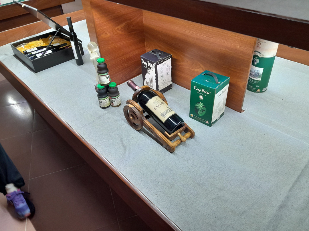 Lam Dong Museum-大勒必去景点