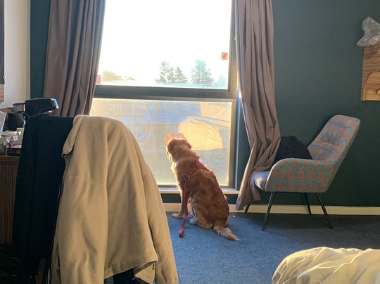 Travelodge Egham主图