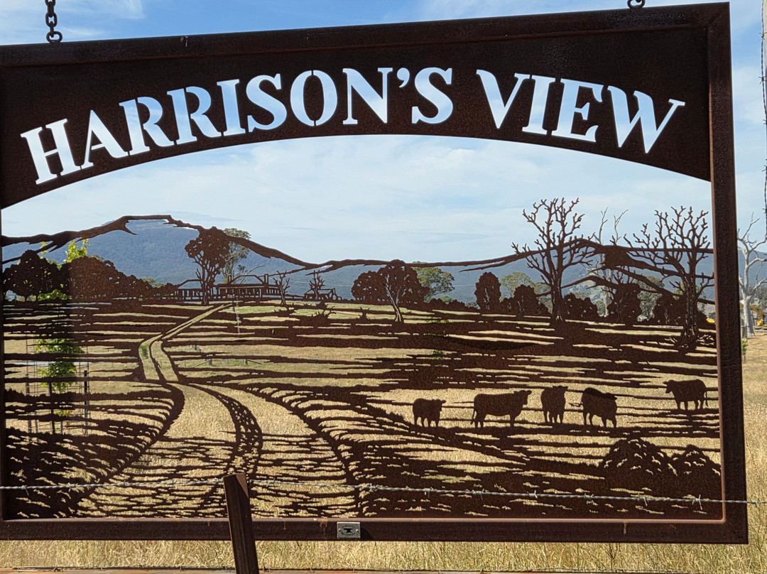 High Country Scenic Tours-曼斯菲尔德必去景点