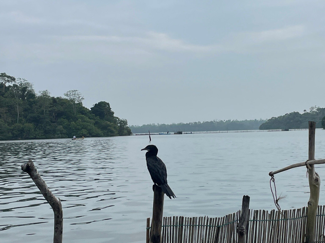 Riu Lanka Tours and Travels (PVT) LTD-亚洪加拉必去景点