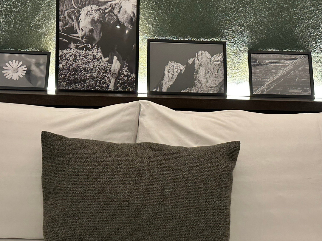 Hotel Fiescherblick主图