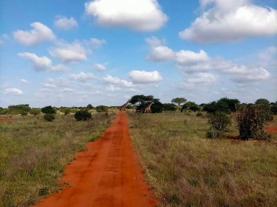 Malik Safari-马林地必去景点