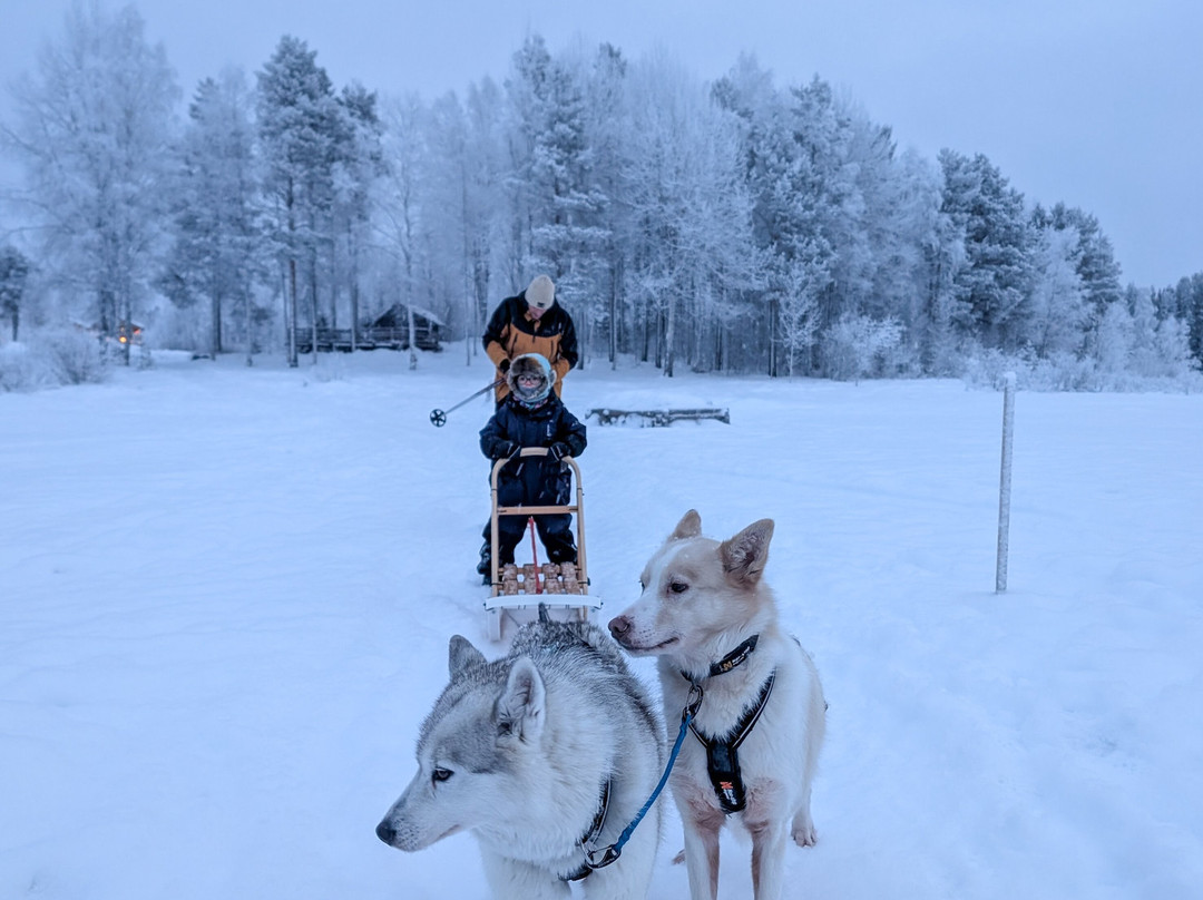 Blueberry Lodge Tours and Activities-Overkalix必去景点