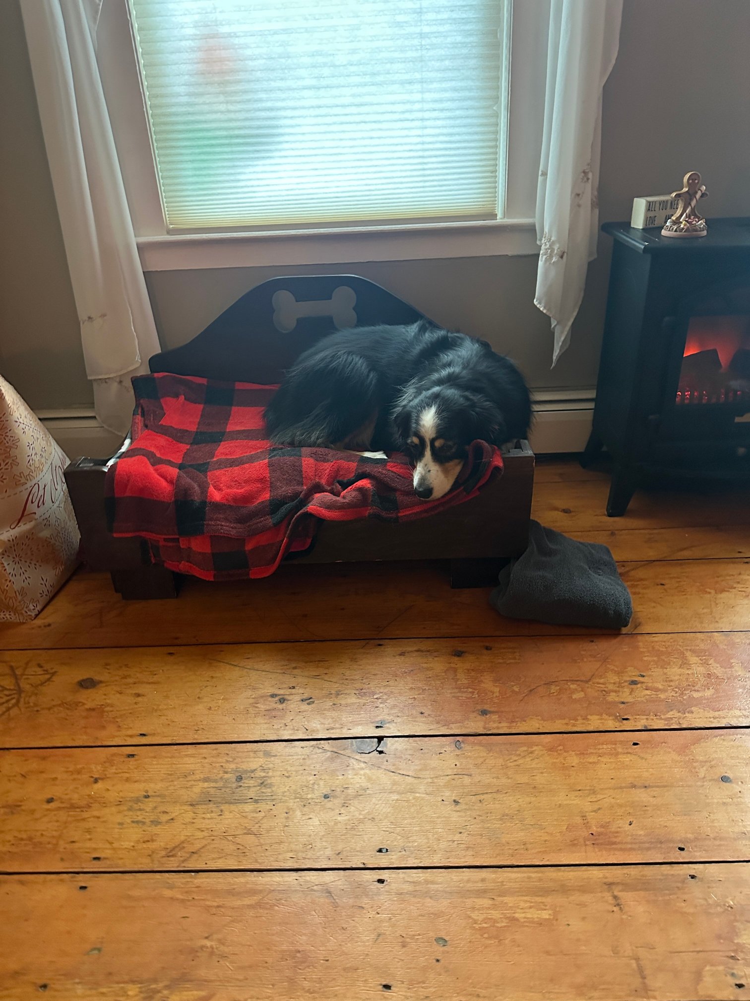 The Paw House Inn-官方