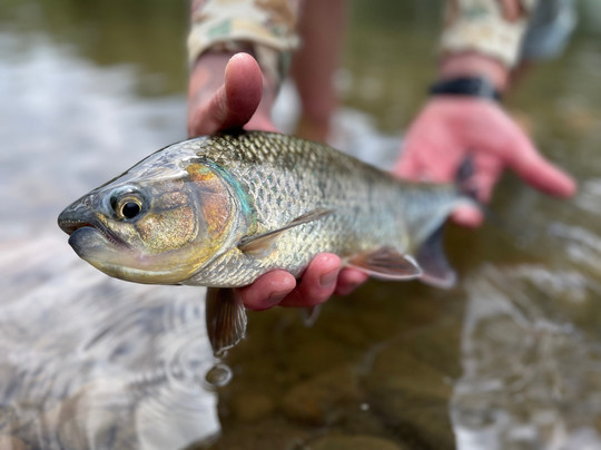 Sarapiquí Fishing-Puerto Viejo de Sarapiqui必去景点