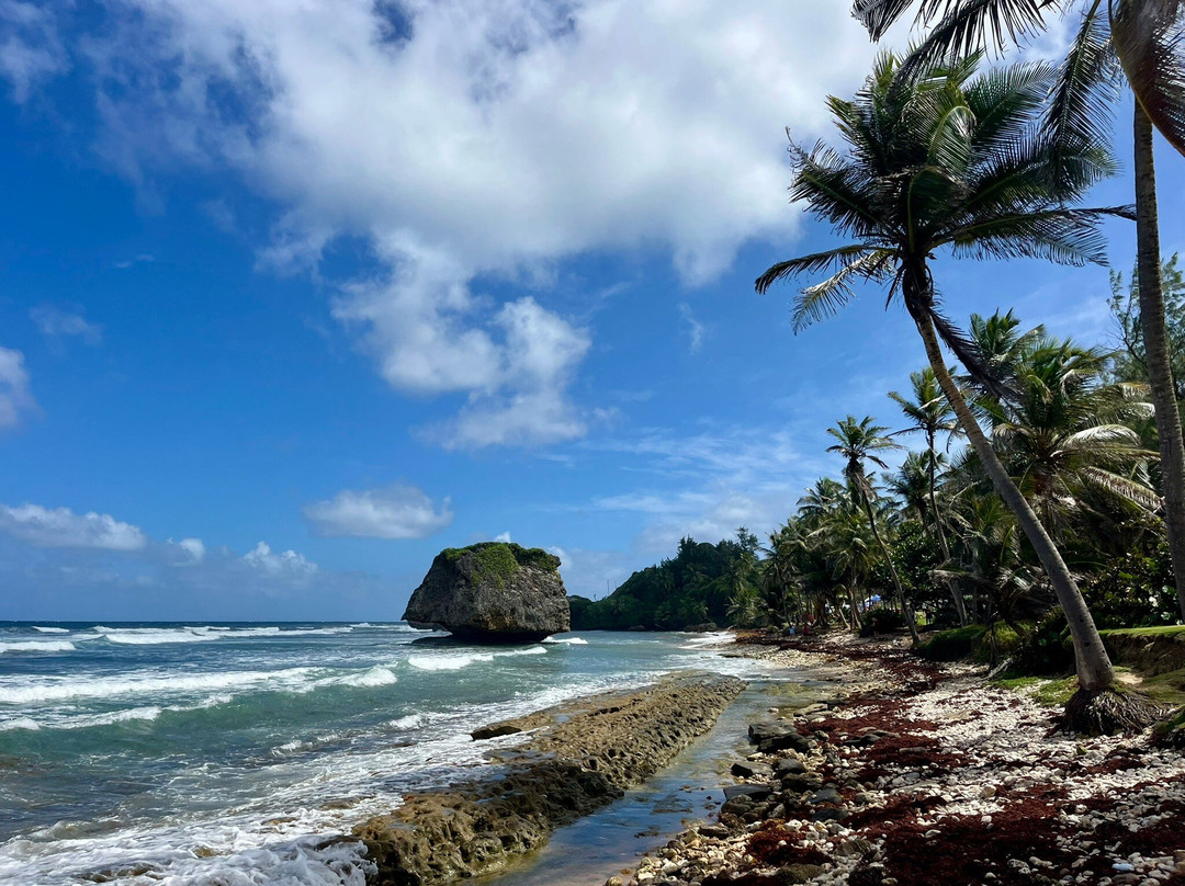 Bathsheba Beach-Bathsheba必去景点