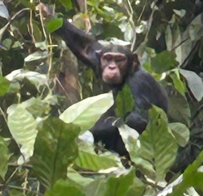 Bamboo Ecotours-坎帕拉必去景点