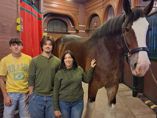 Budweiser Brewery Experience-圣路易斯必去景点